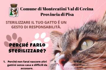 STERILIZZARE IL TUO GATTO &#201; UN GESTO DI RESPONSABILIT&#192;.