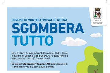 Sgombera Tutto a Ponteginori