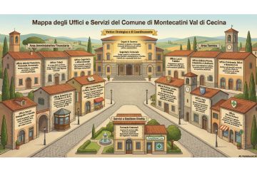 organizzazione comune