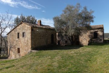 in Piazza Ulivo