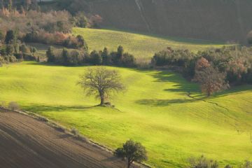 Val di Stera, particolare visto da Sassa. Il lavoro nei campi è rimasto, seppure ai minimi, uno dei tratti peculiari di alcune porzioni di val di Sterza, che Sassa domina dall'alto, insieme a Canneto e a Querceto.<br>La fotografia è scattata nel mese di Marzo. 